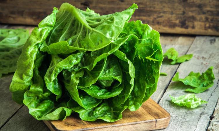 Superfood Spotlight: Romaine Lettuce