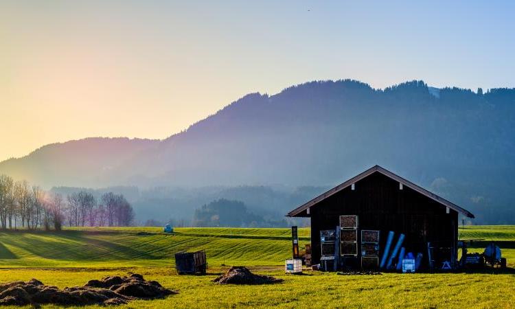 A Morning In The Life Of An Urban Homesteader