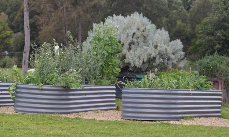 Container Gardening or Raised Bed Gardening?