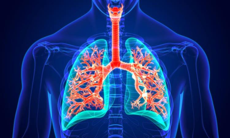 Do You Have Asbestos-Related Cancer?