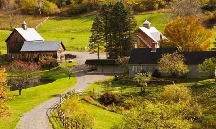 Five Advantages Of Homesteading