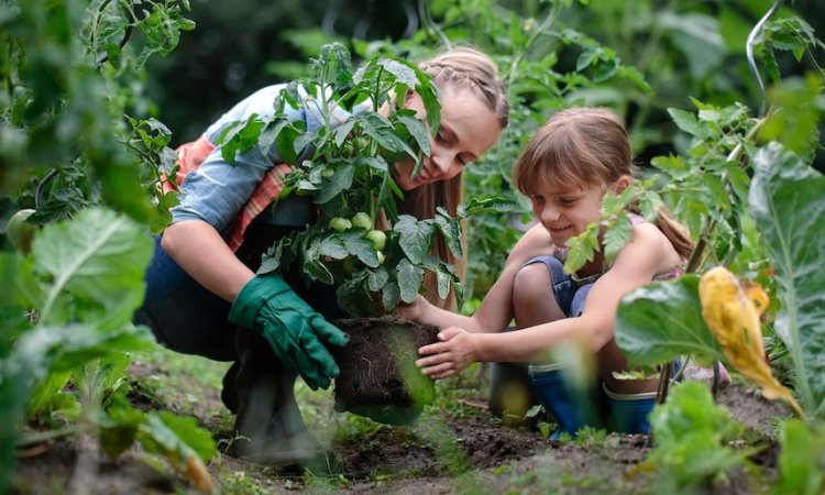 Five Tips For Pest Management In Your Organic Garden