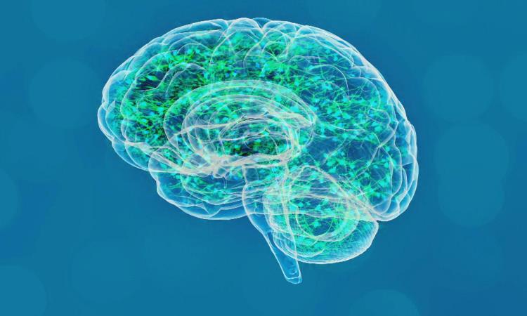 Five Tips For Preventing Alzheimer’s Disease