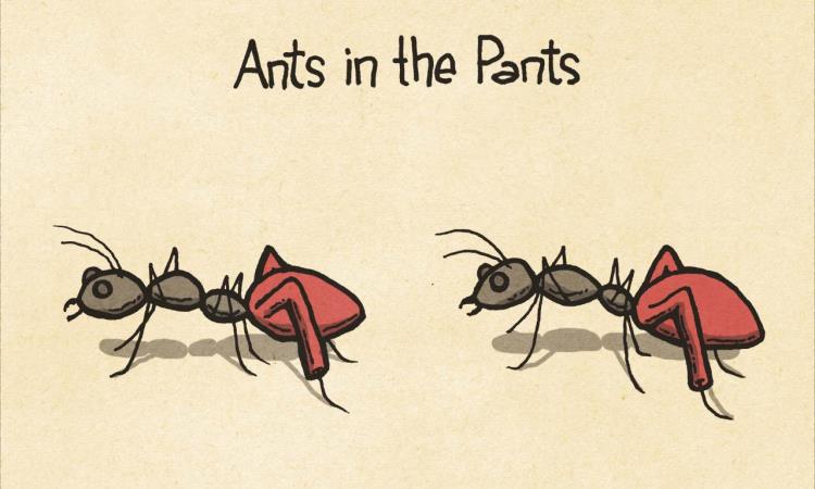 Got Ants In Your Pants…Er, That Is, Pantry?