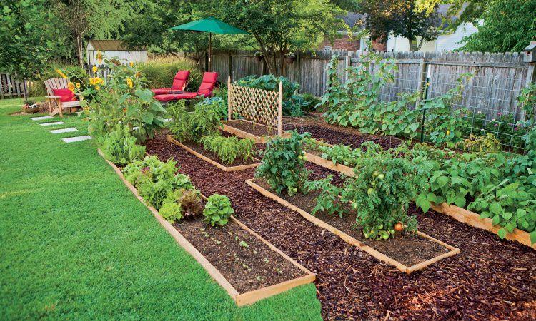 Learn From My Mistakes, And Start Your Garden