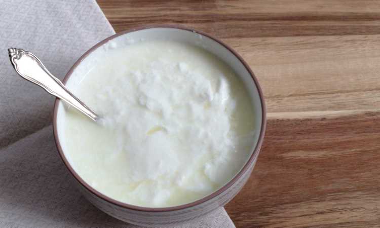 Raw Milk Yogurt Is Yummy!