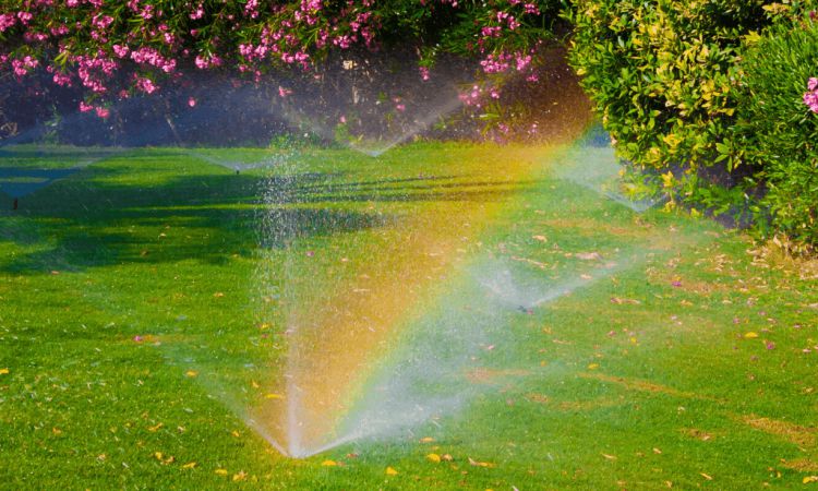 Sprinkle, Soak, Drip…Or What?