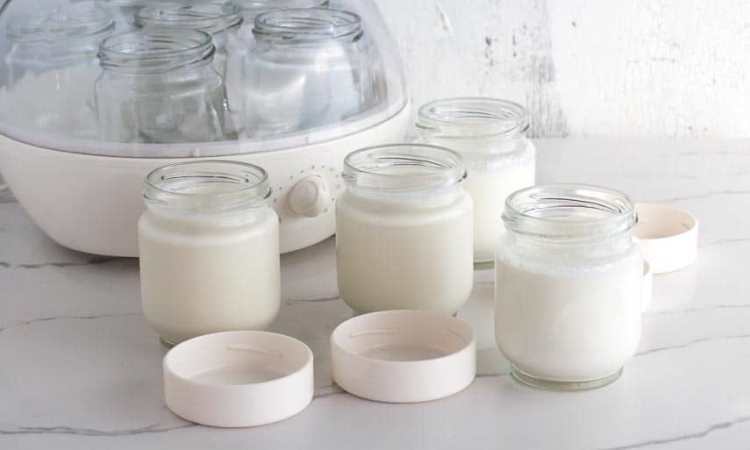 Super-Easy Raw Milk Yogurt