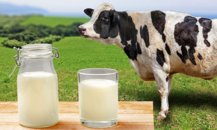 Super-Easy Raw Milk Yogurt