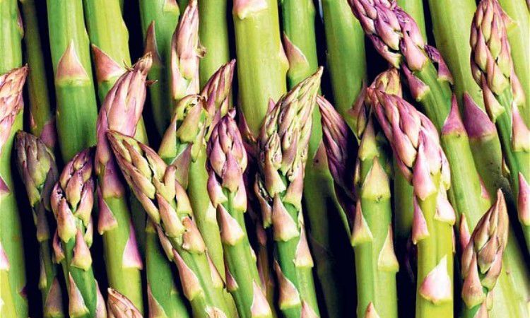 Superfood Spotlight: Asparagus