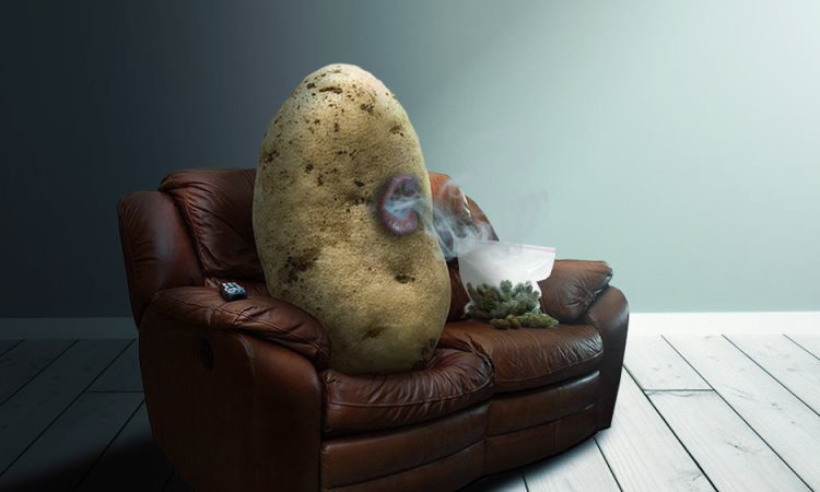 The Frightening Truth About Couch Potatoes