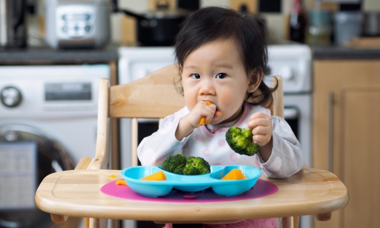 Why Child-Led Weaning