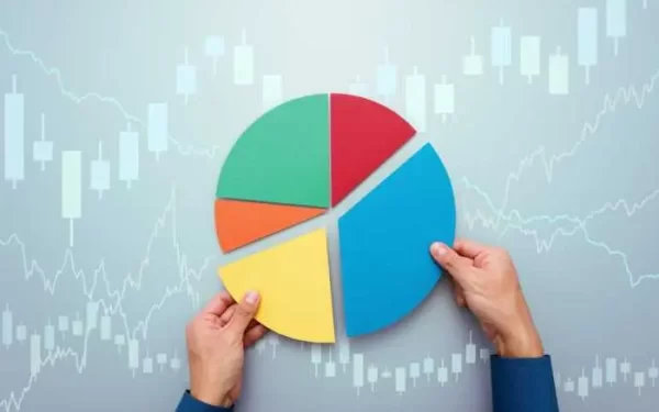 Developing a Diverse Investment Portfolio