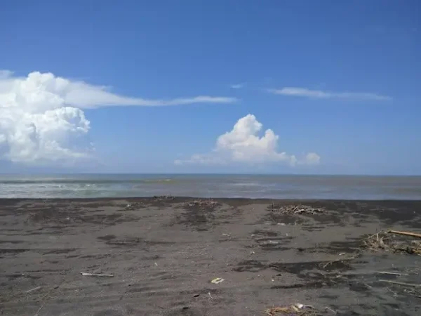 10 Black Sand Beaches in Jogja That Offer Stunning Natural Views