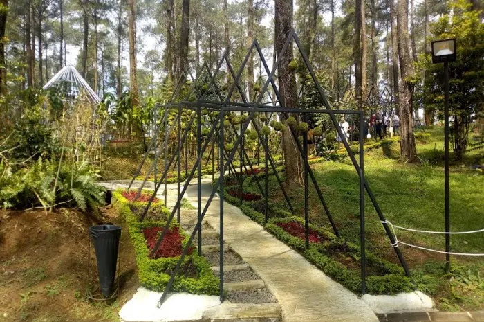 10 Must-Visit Tourist Attractions in Bandung for an Exciting Experience