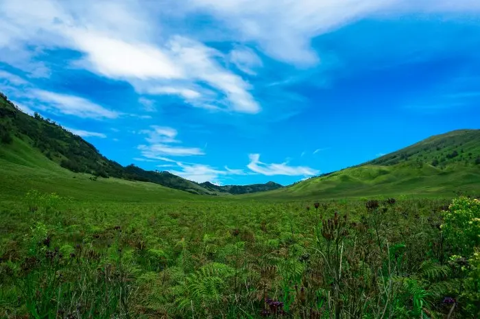 Teletubbies Hill